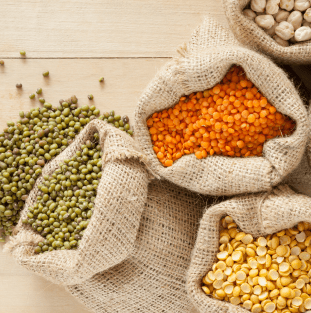 bags with legume seeds