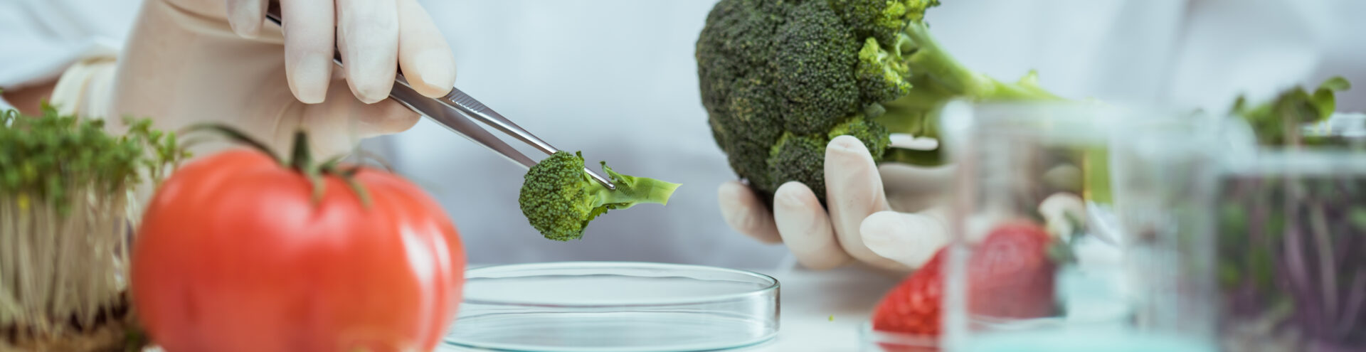 Woman doing GMO test in laboratory