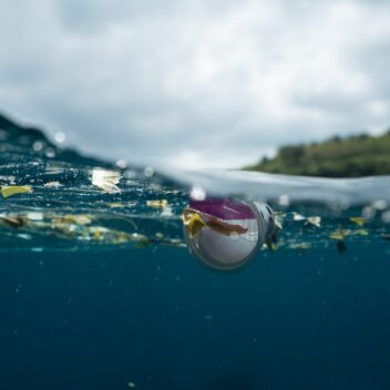 floating trashes